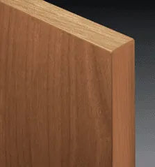Plastic Laminate